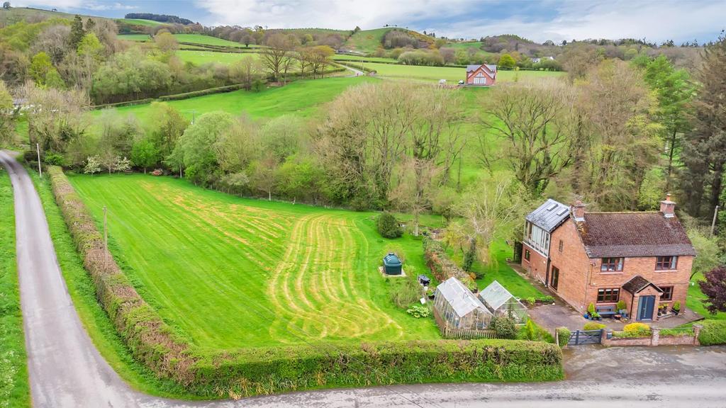 DJI 0766.jpg