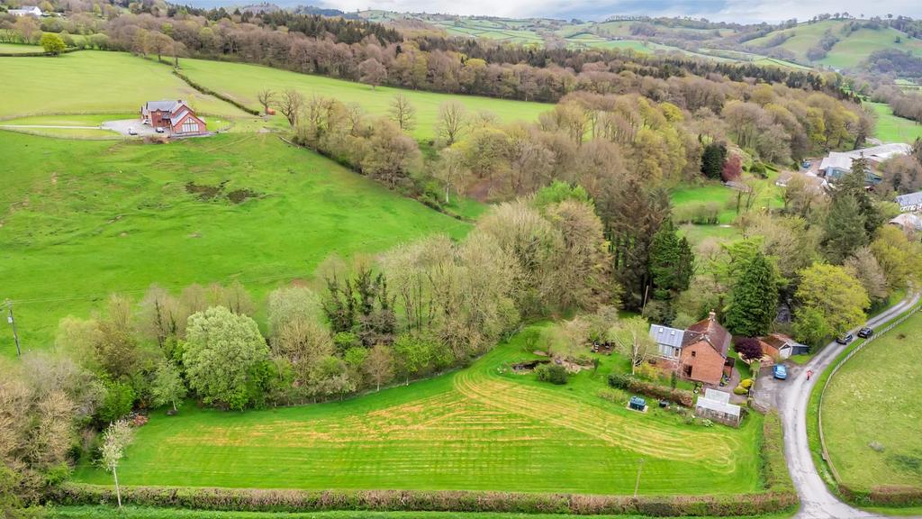 DJI 0771.jpg