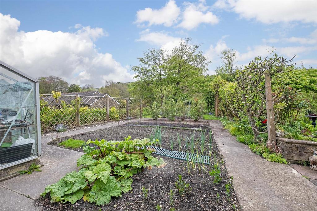 Vegetable Garden