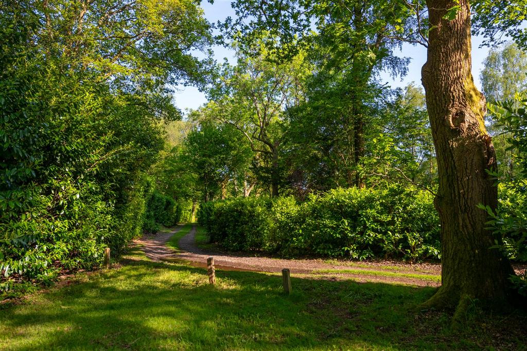 Juniper Stables woodlands-6.jpg