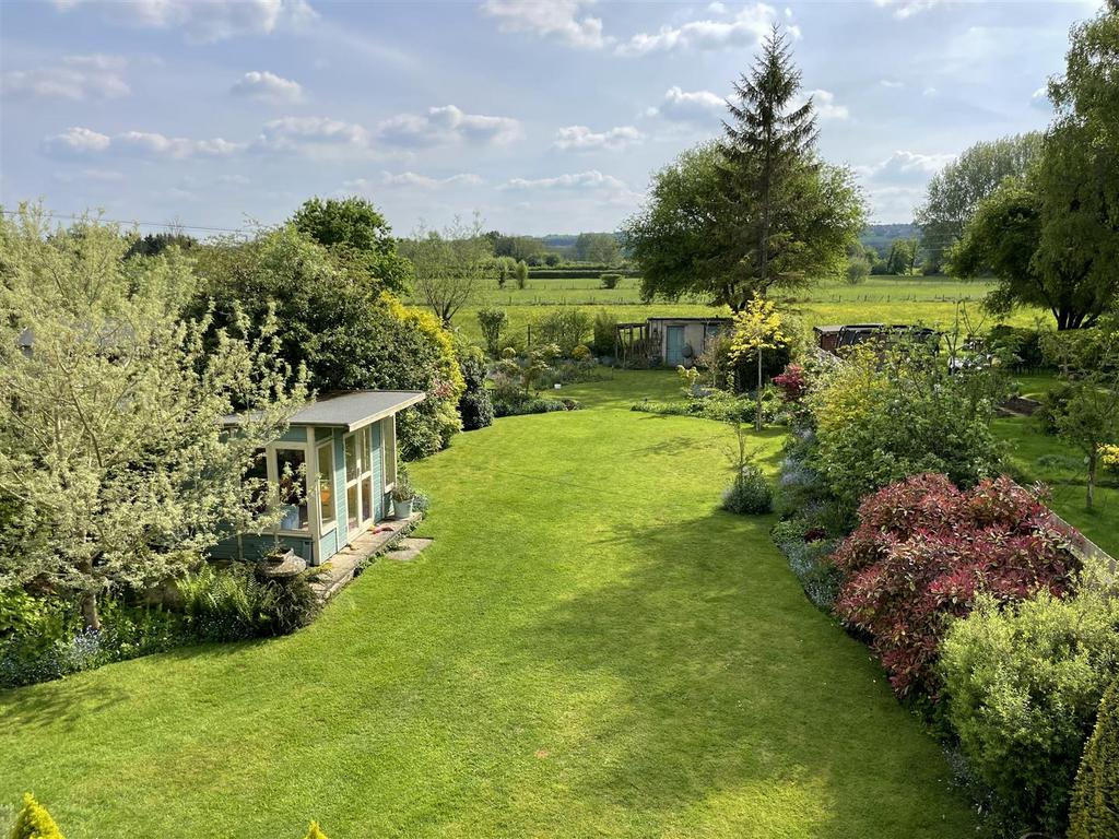 Garden.JPG