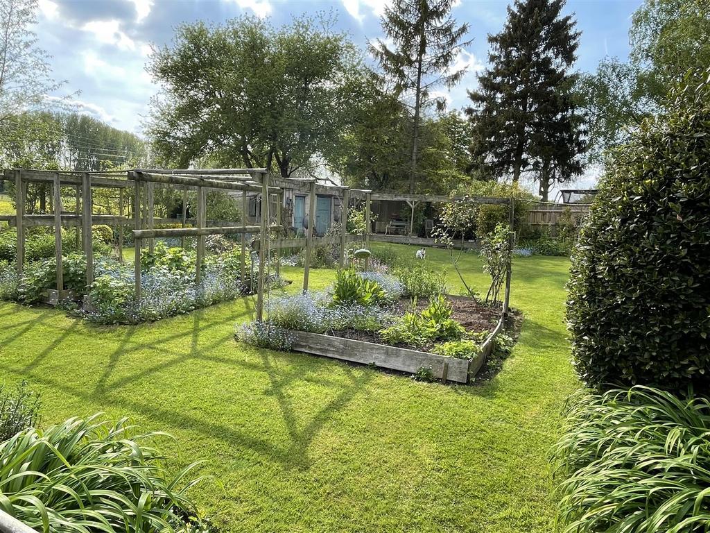 Garden 5.JPG