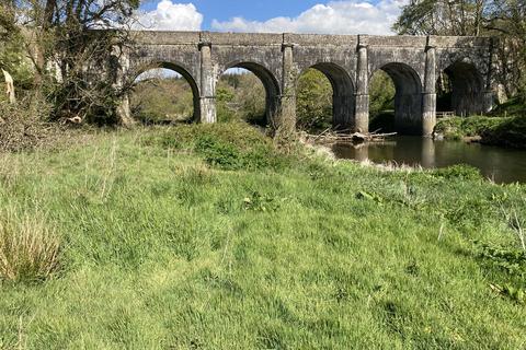 undefined, River Torridge, Torrington