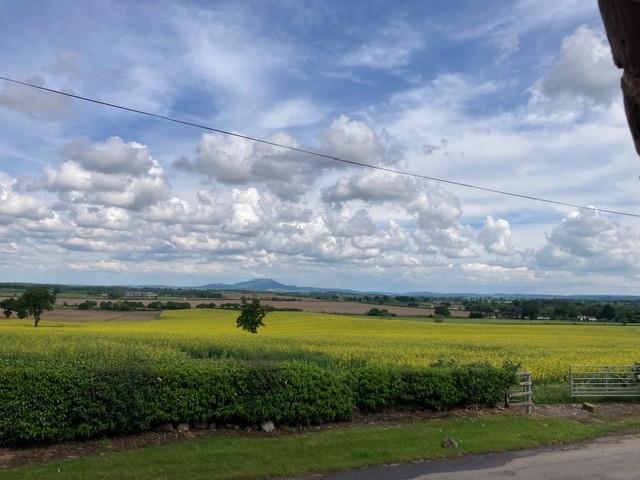 View.jpg