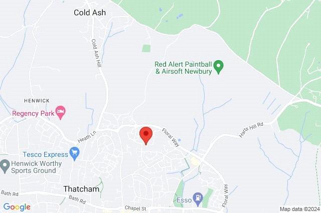 Google Maps Image