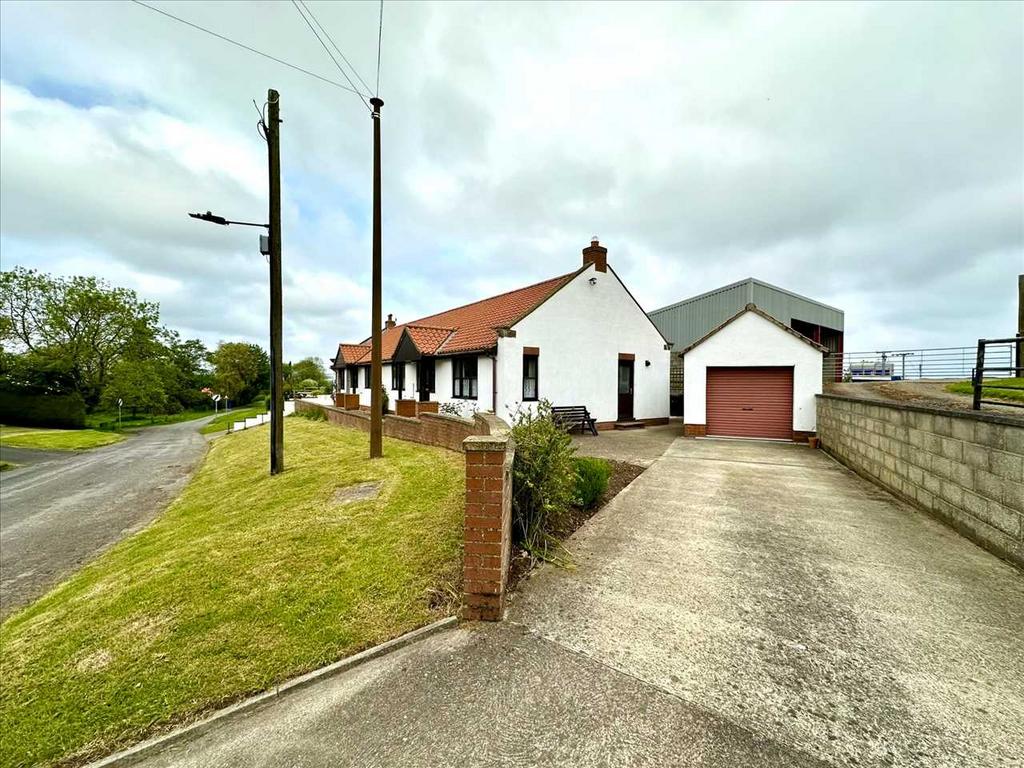 Detached Garage