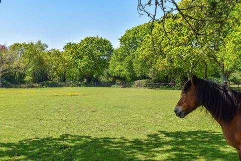 Farm land for sale, Wooden House Lane, Pilley, Lymington, SO41