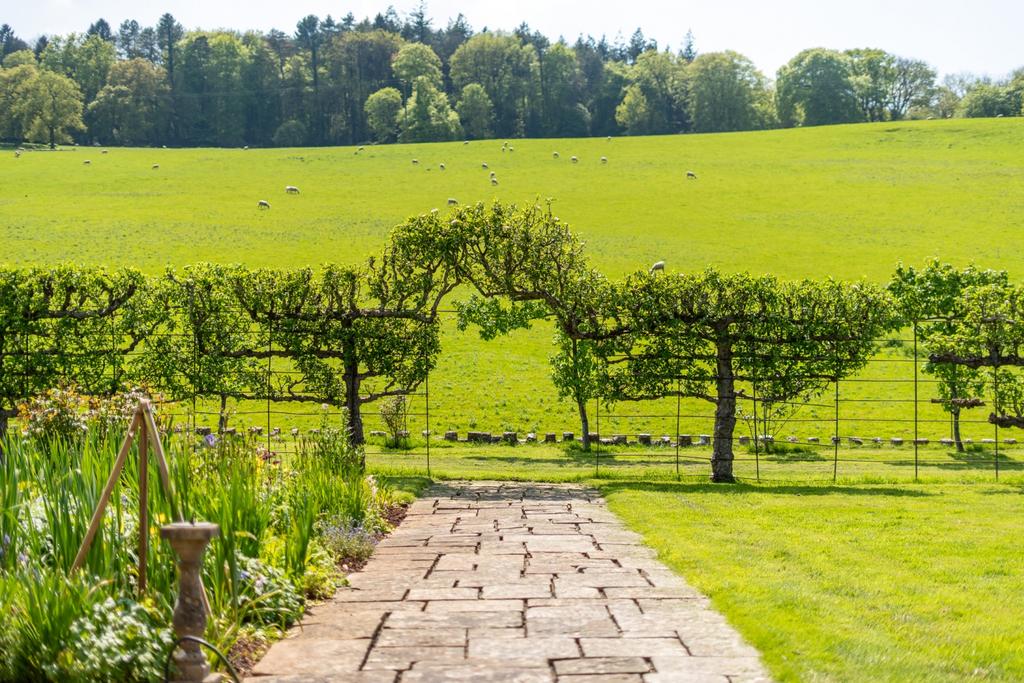 Garden pathway to pasture