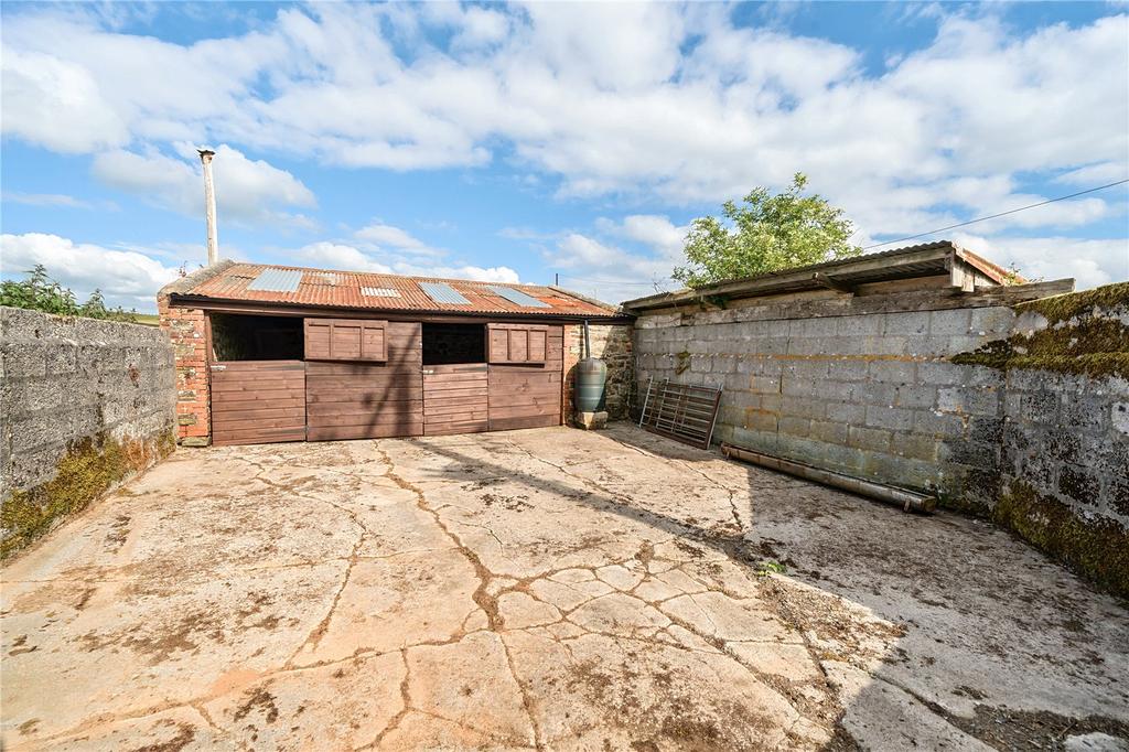 Shearing Shed