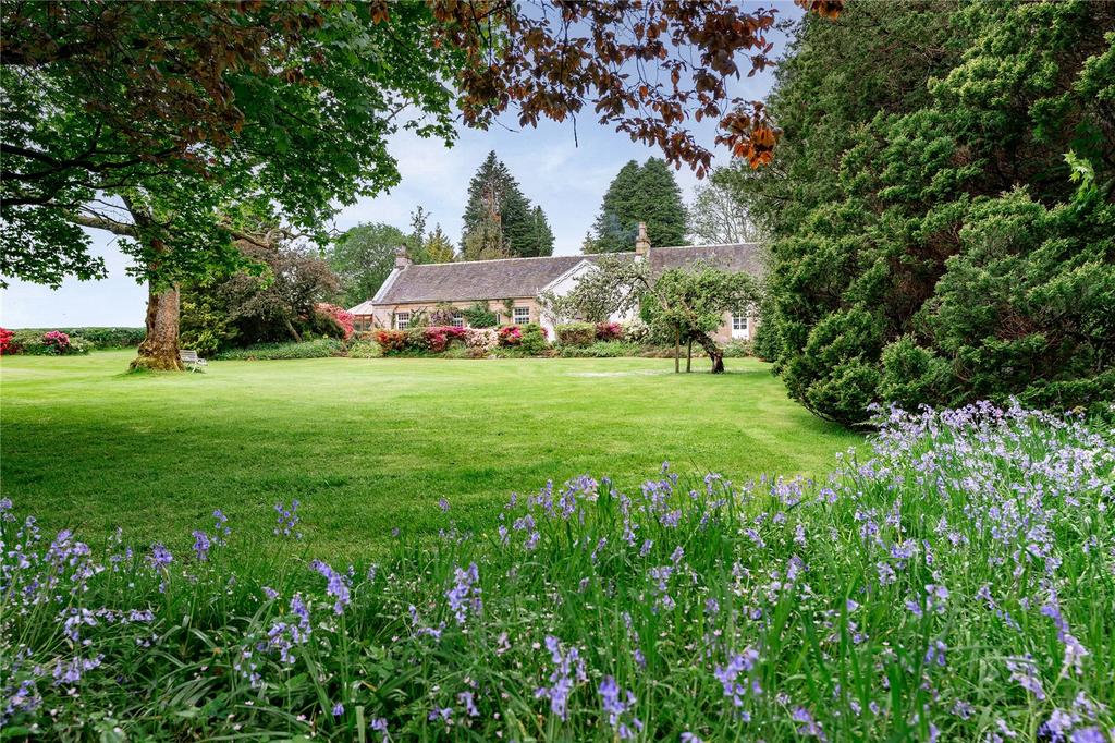 Grounds