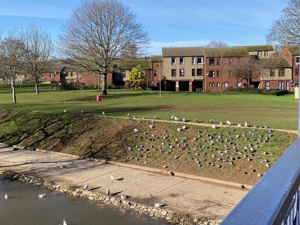 View of property from the bridge