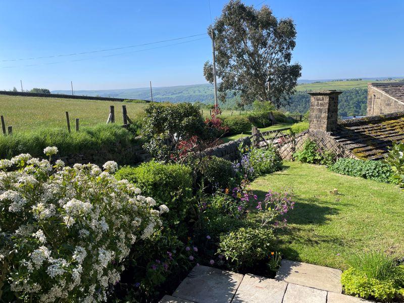 Side Garden