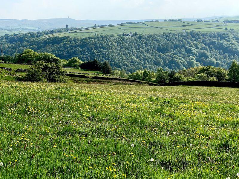 Separate Field