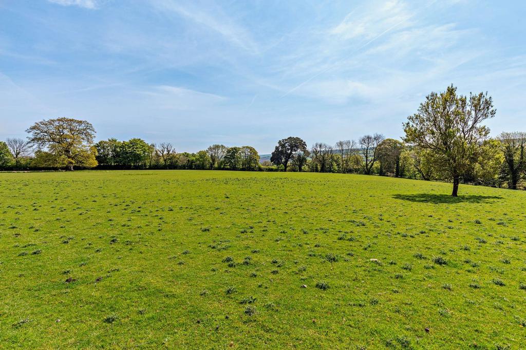 Farmhouse Paddock