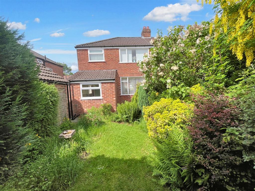 Rear of Property