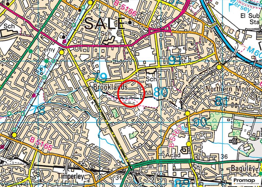Town Plan