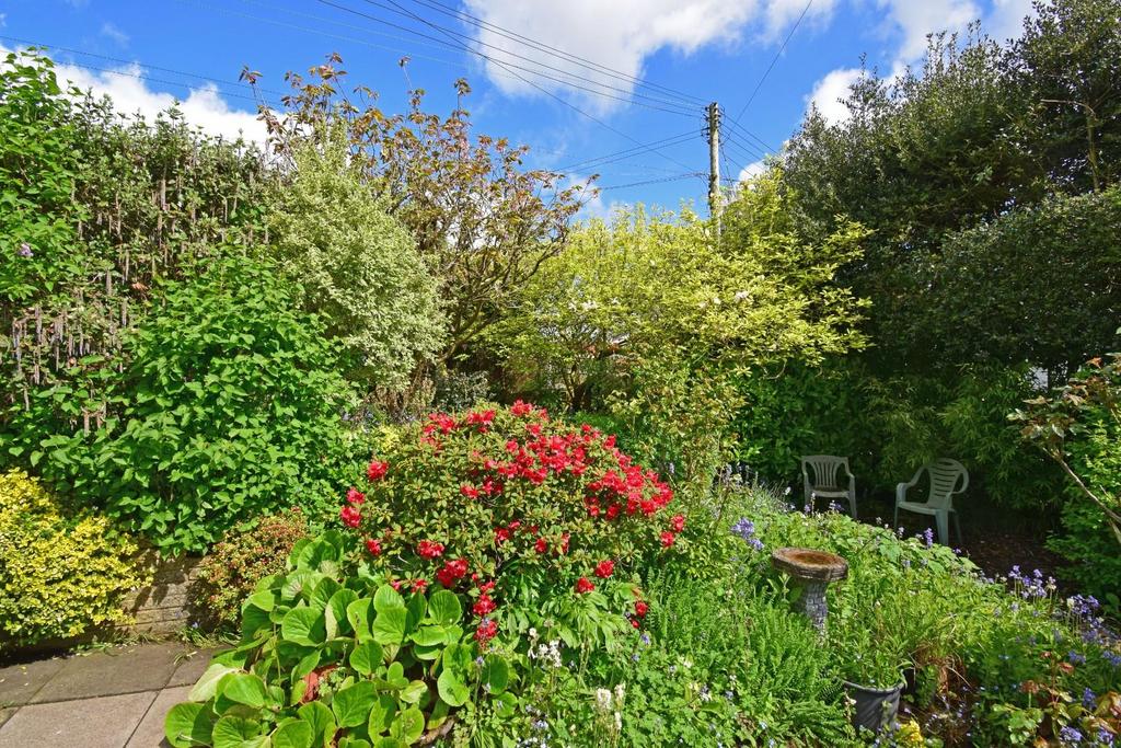 37 Fairfield Road, garden front shrubbery.jpg