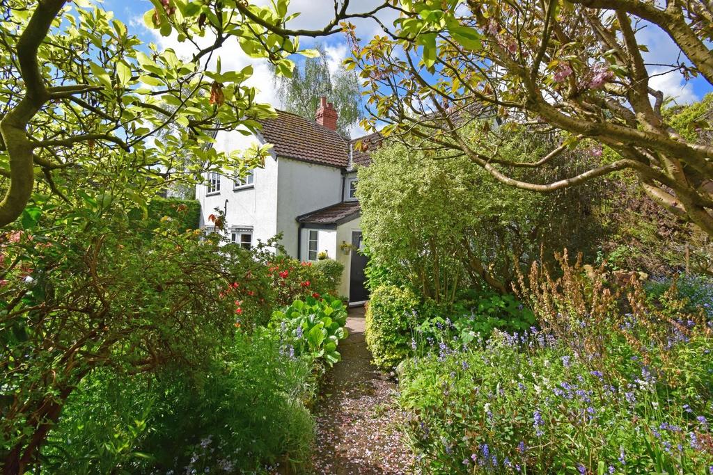 37 Fairfield Road, garden path.jpg