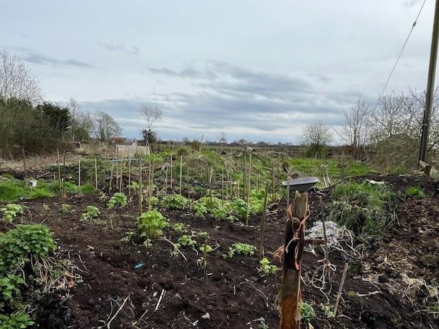 Lot 5 - Allotment.jpg