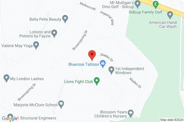 Google Maps Image