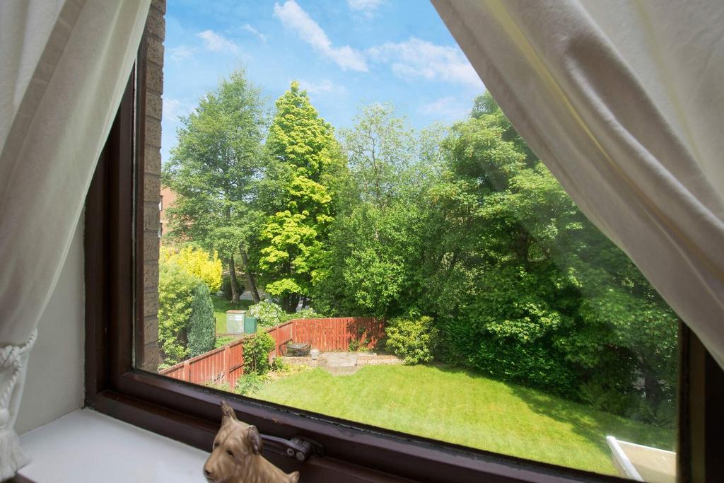 View over garden
