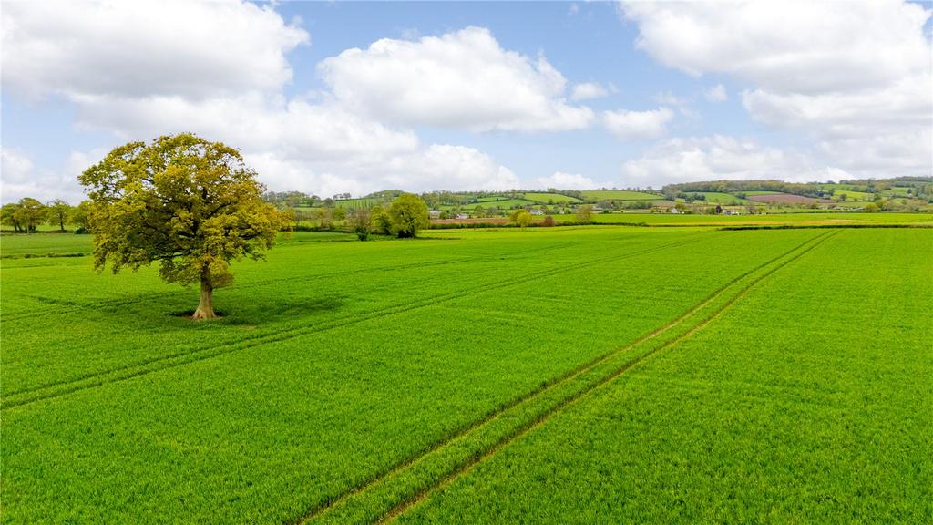 Land At Brymery