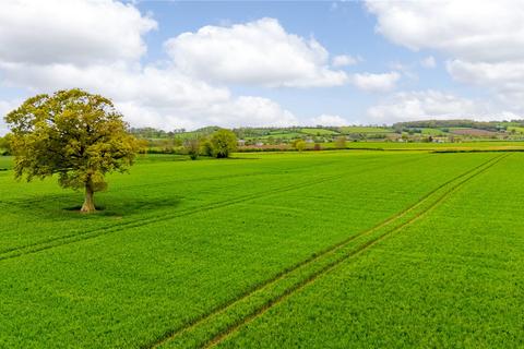 Land for sale, Halberton Court Farm, Halberton, Tiverton, Devon, EX16