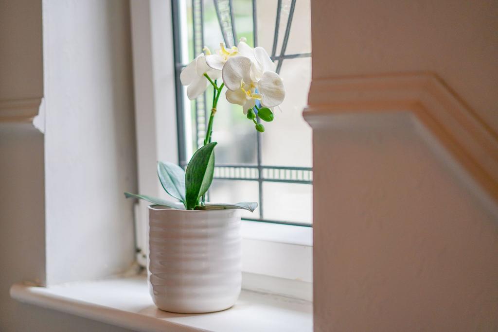 Photograph 33