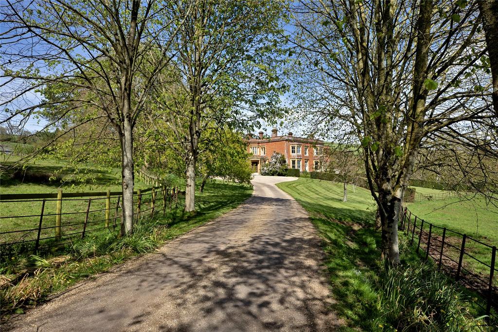 Tree Lined Drive