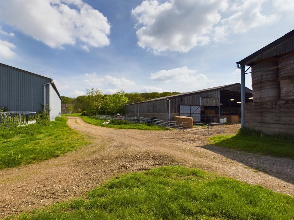 Sheep Pens