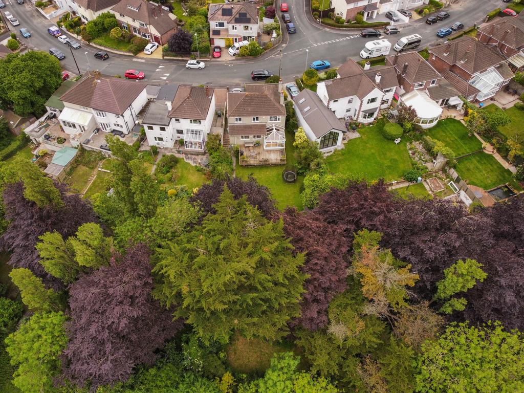 Aerial Shot