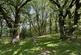 Additional image 3 of Llanfrynach, Brecon, Powys.