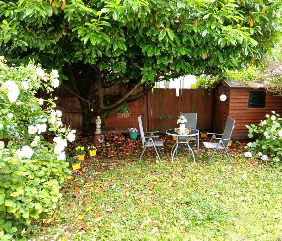 External Grounds