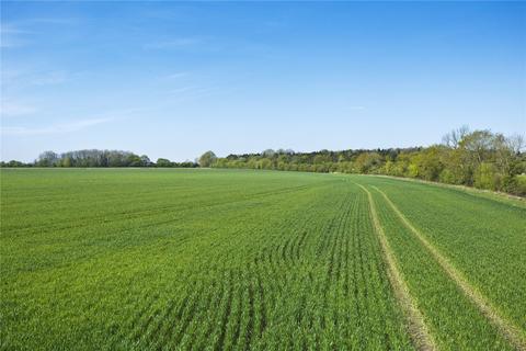 Land for sale, Rawhall and Vale Farm, Stoney Lane, Beetley, Dereham, Norfolk, NR20