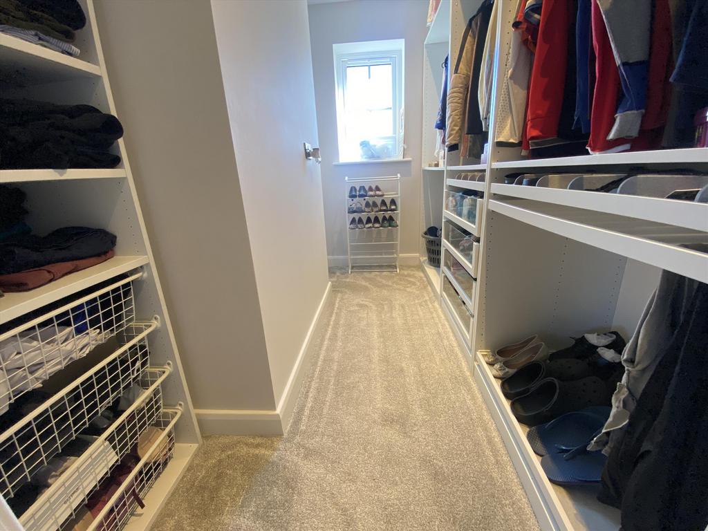 Img 1568