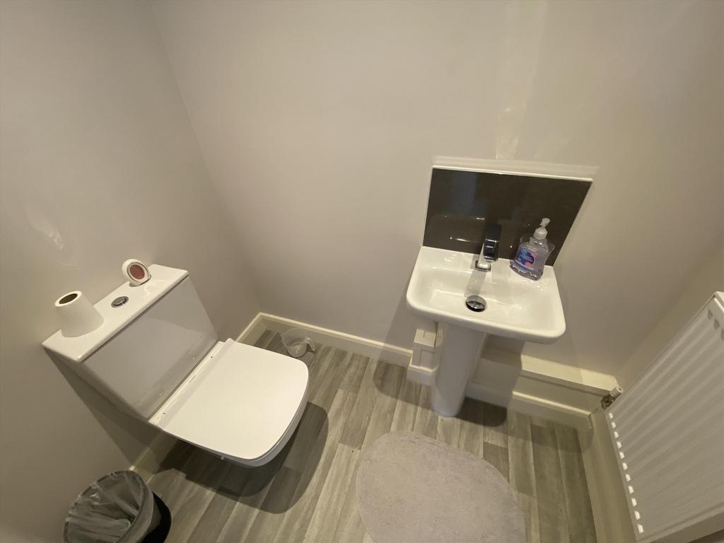 Img 1552