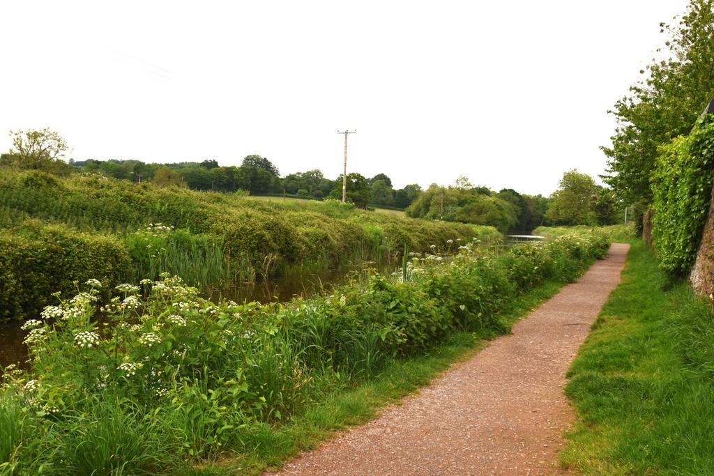 Seddons Tiverton