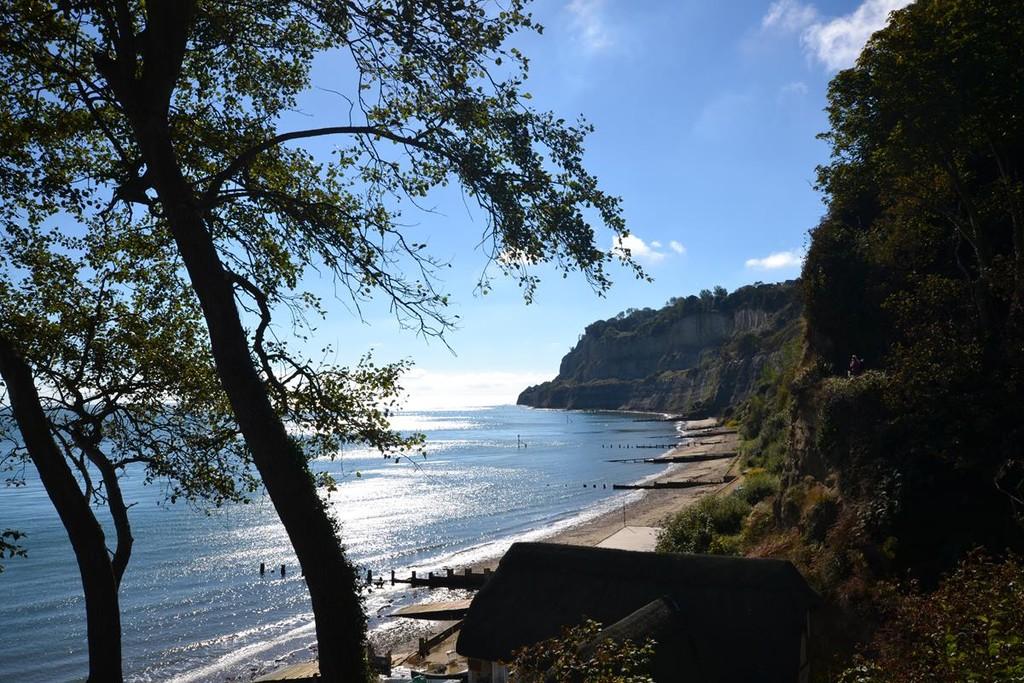 Nearby Shanklin beach