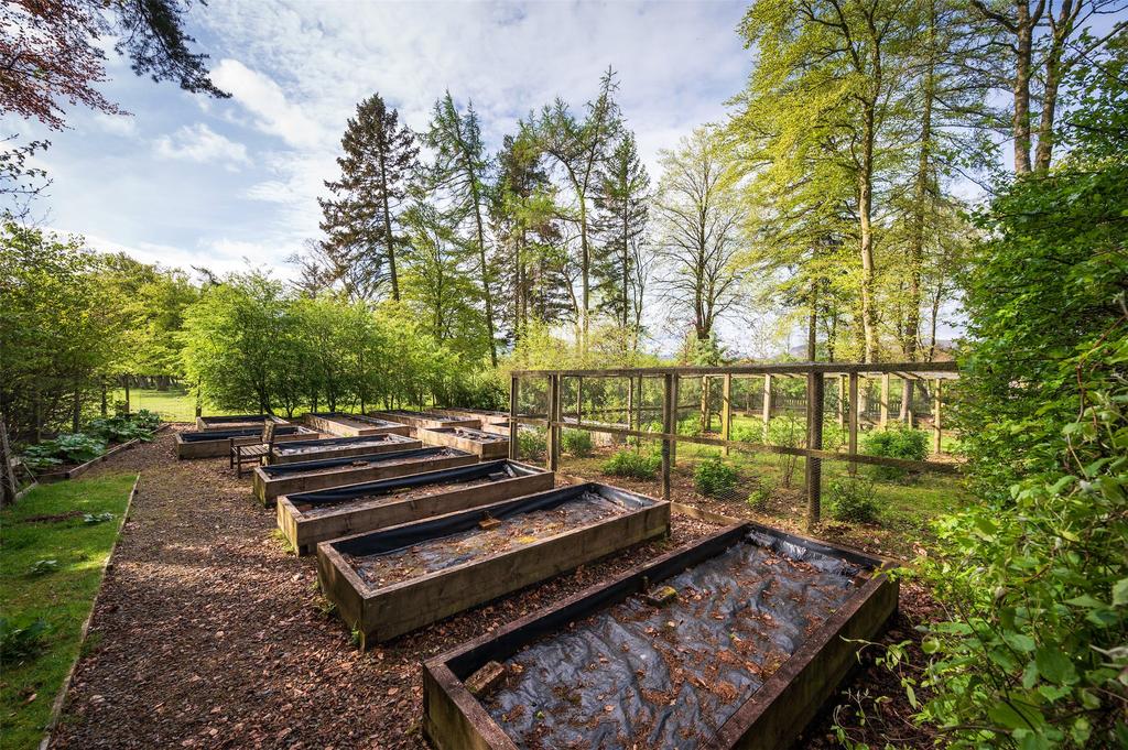 Garden Raised Beds