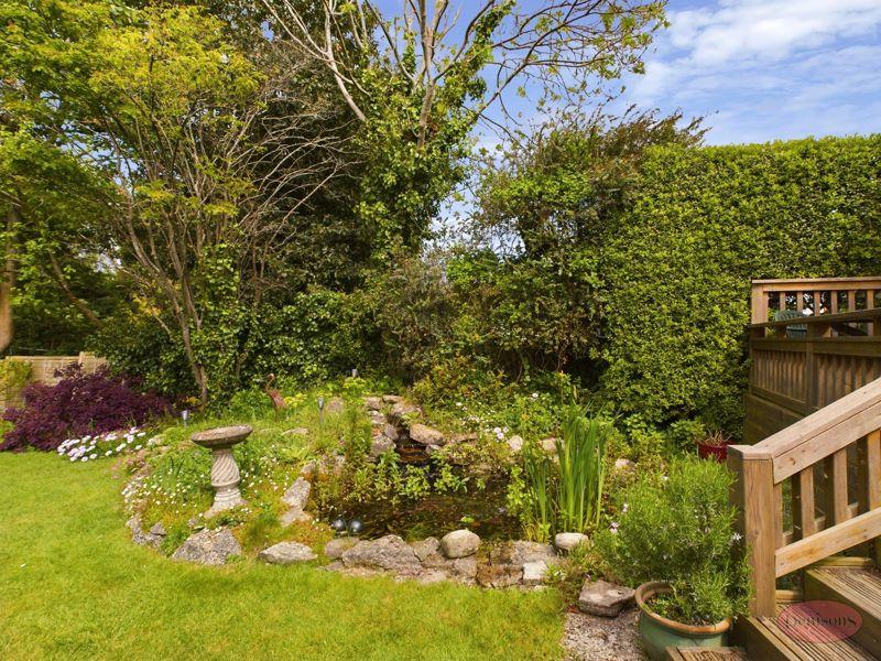 Pond