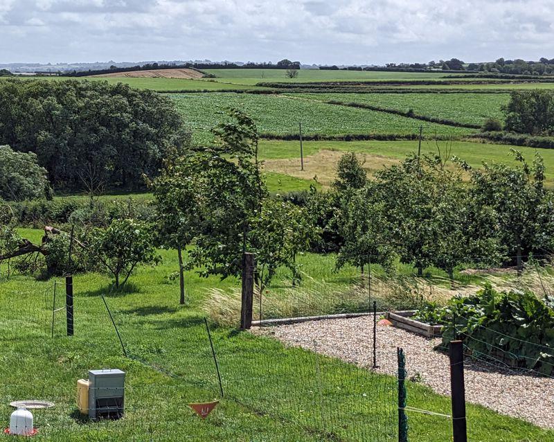 Vegetable Garden &amp;