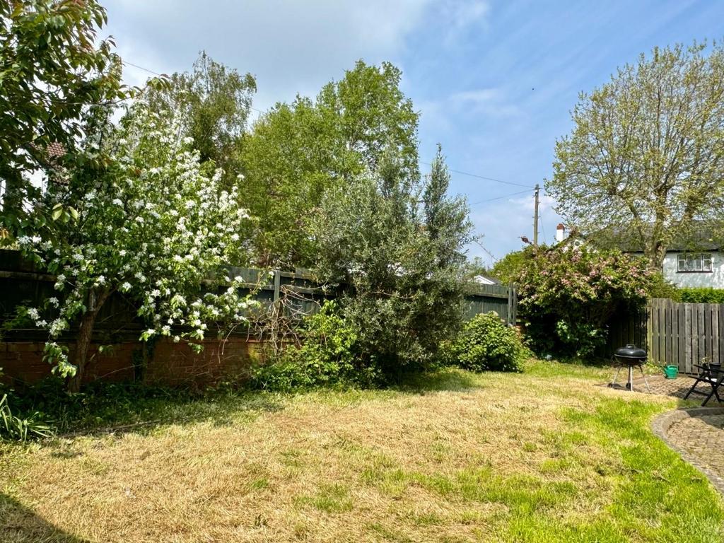 Side Garden