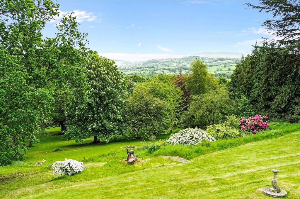 Garden and View