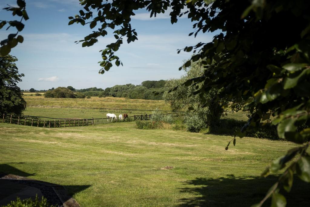 Paddocks