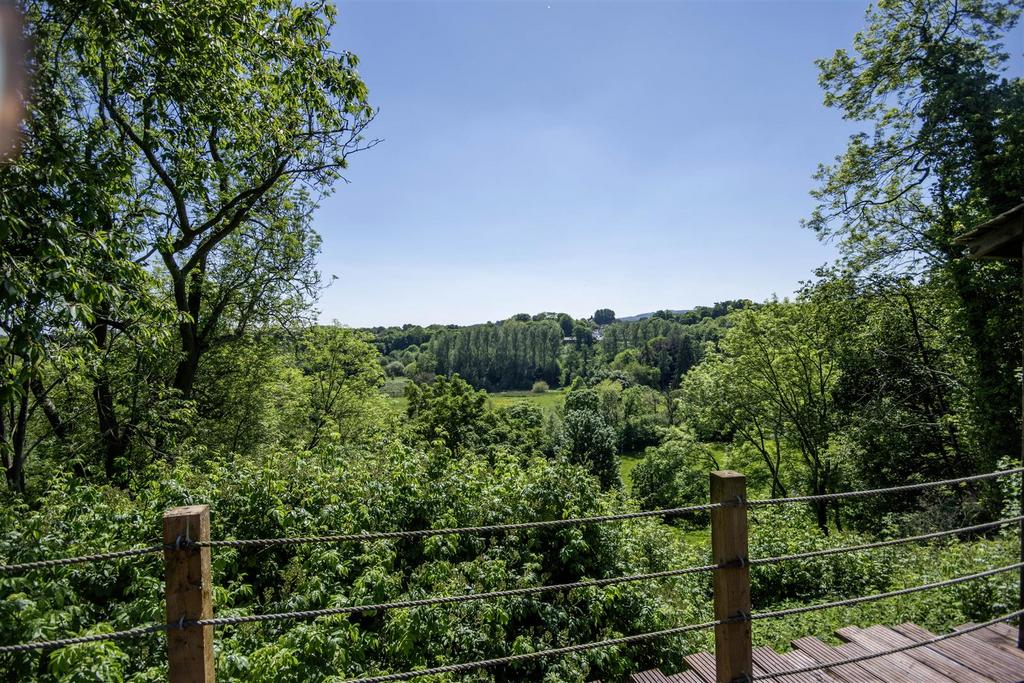 Additional Photograph