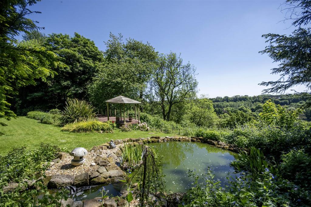 Additional Photograph