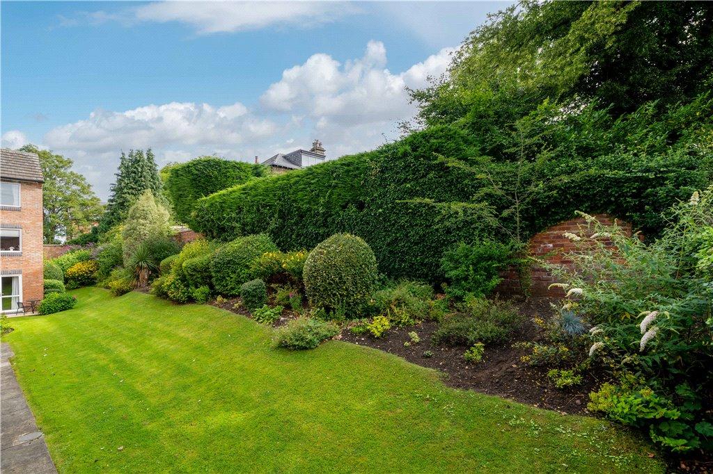 Rear Gardens