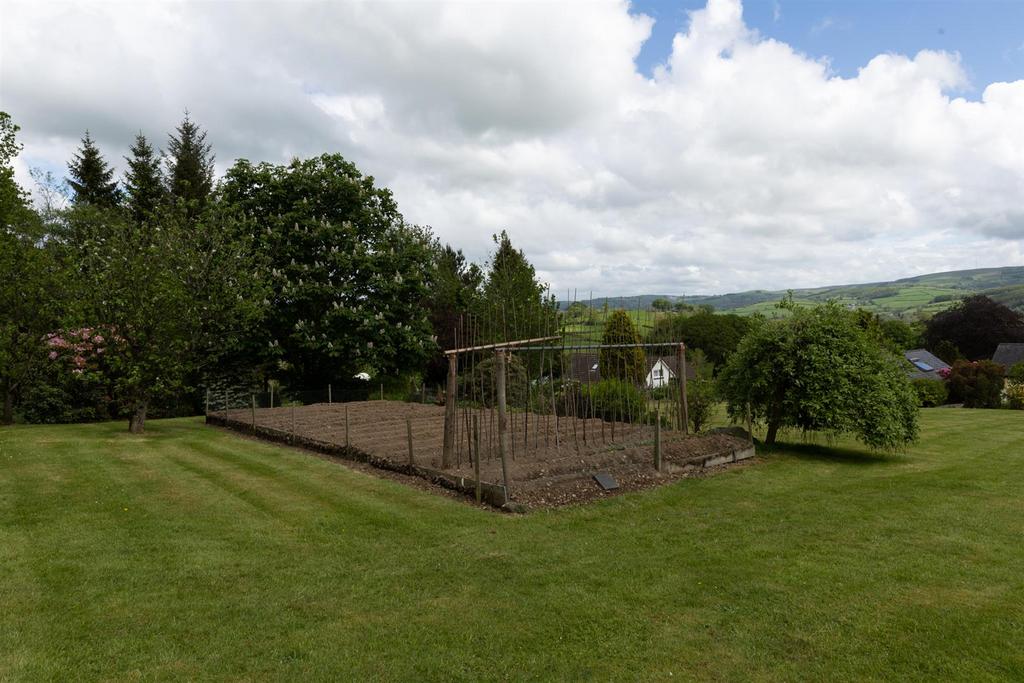 Rear gardens with veg beds