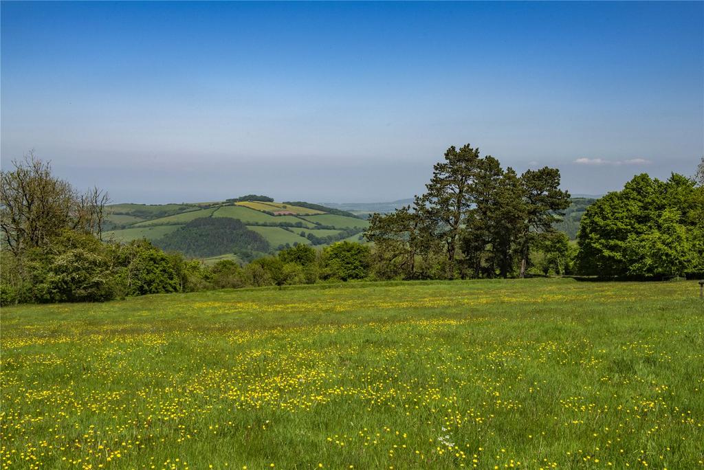 Land &amp; Views