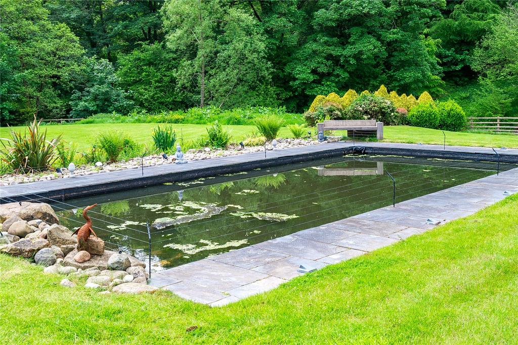 Pond